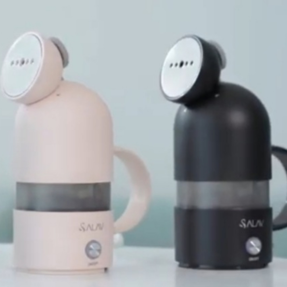 Travel Clothes Steamer